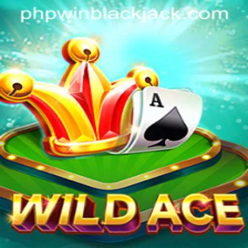 Exploring WildAce: The Thrilling New Game Taking the World by Storm